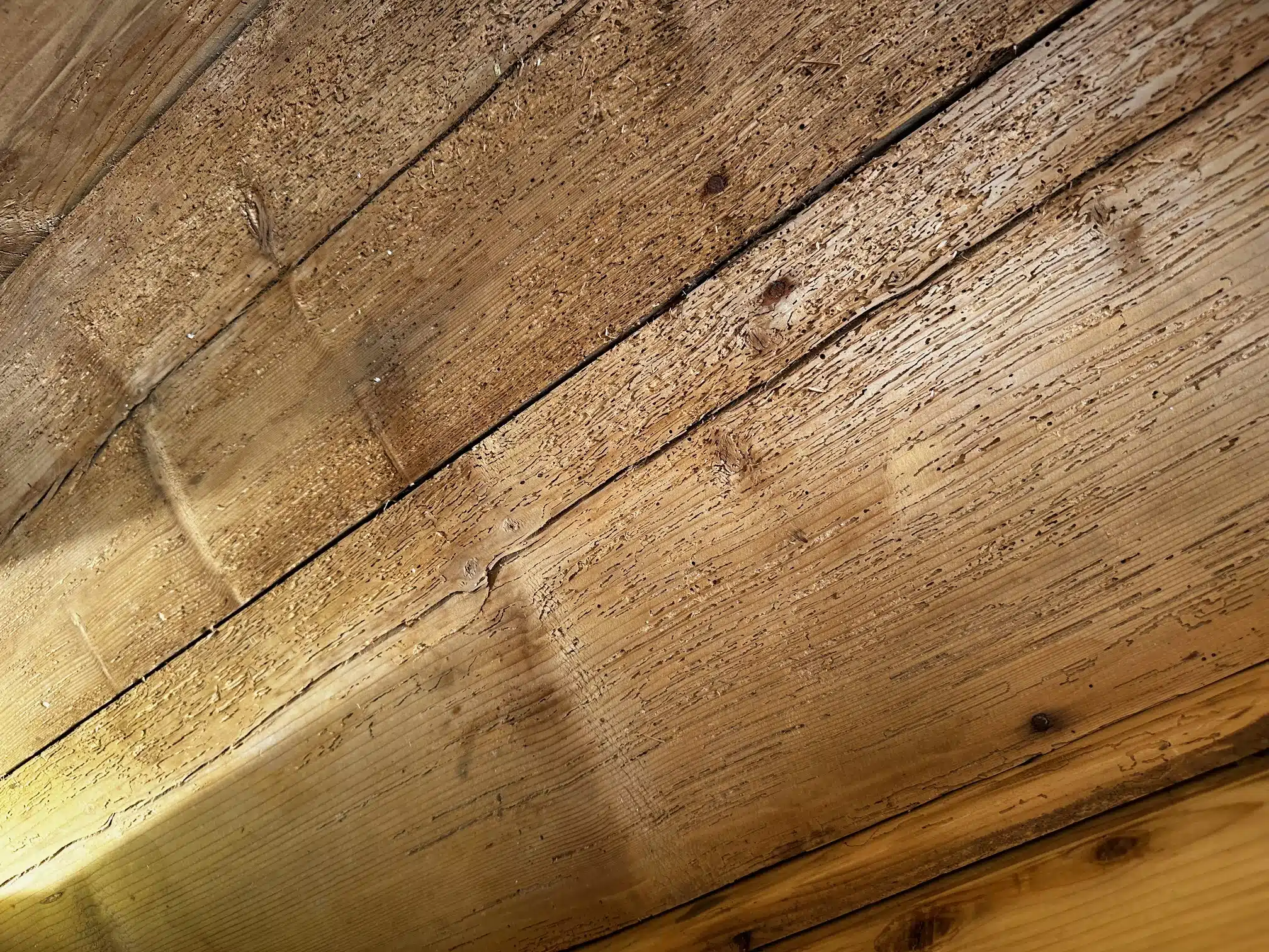 alte Vintage Bank, Bauernbank, chary chic, chary chic raw, Rohlinge, Gartenbank, Essbank, Essgarnitur, Vintage Möbel, Vintage Möbel Österreich, Vintage Möbel Deutschland, Vintage Möbel Schweiz