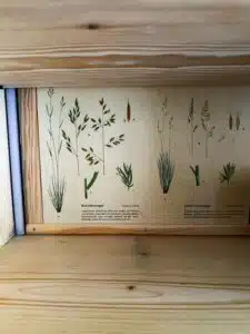 antike Kredenz, alte Küchenkredenz, gebrauchte Küchenkredenz, Küchenschrank, alter gebrauchter Küchenschrank, aus alt mach neu, chary chic, Shabby Chic, Upcycling, Vintage Möbel aus Österreich, Oberösterreich, Kematen am Innbach, Charity Putz, Tischlerei